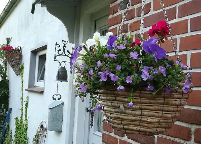 Brodersen Appartement Boren